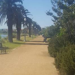 IMG_20171010_215659_746