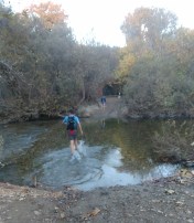 Stream Crossing 3