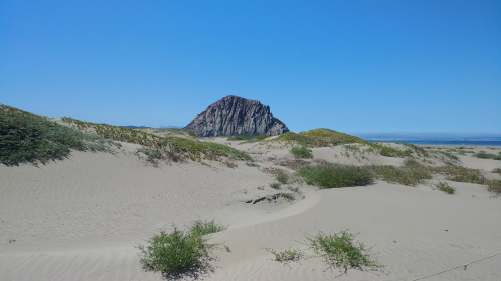 37758490_10156023683929440_3080929368843747328_n